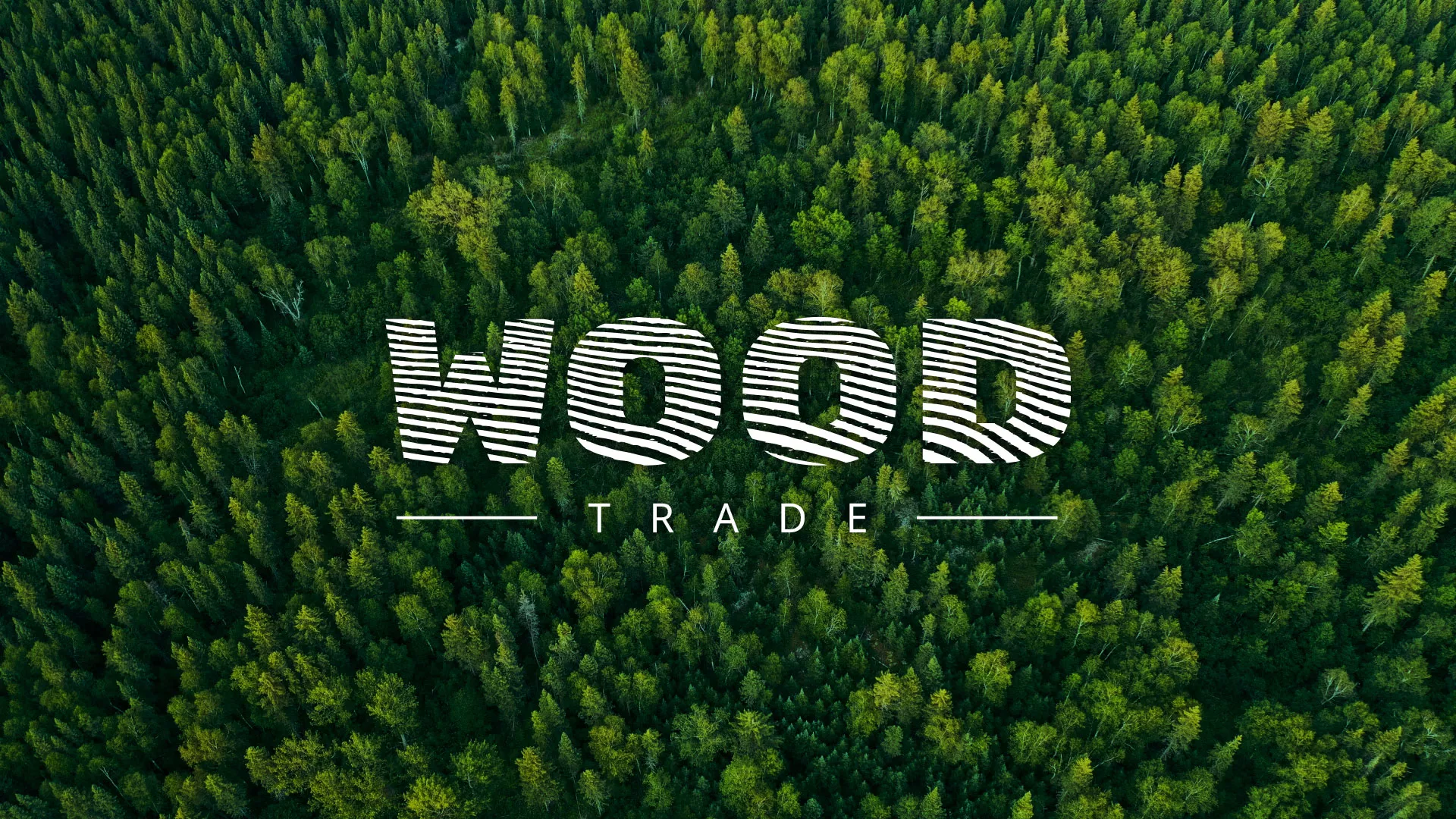 Разработка интернет-магазина компании «Wood Trade» в Торжке